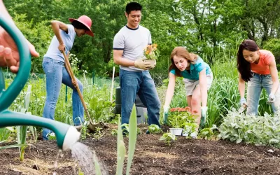 The Power of Community and Relationships in Mental Health